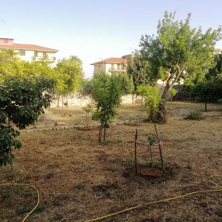 Modica Relax Garden Apartment ภายนอก รูปภาพ
